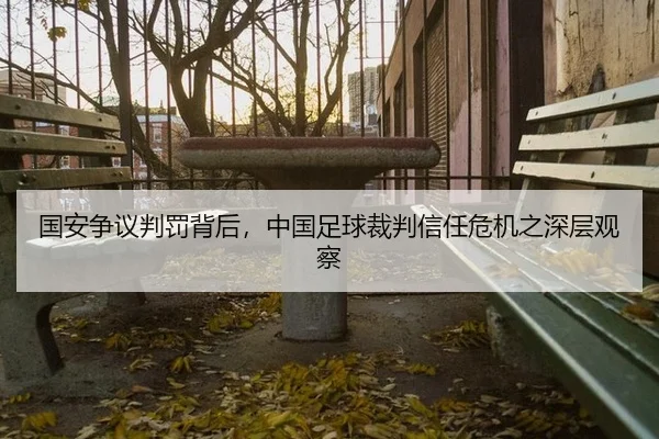 国安争议判罚背后，中国足球裁判信任危机之深层观察